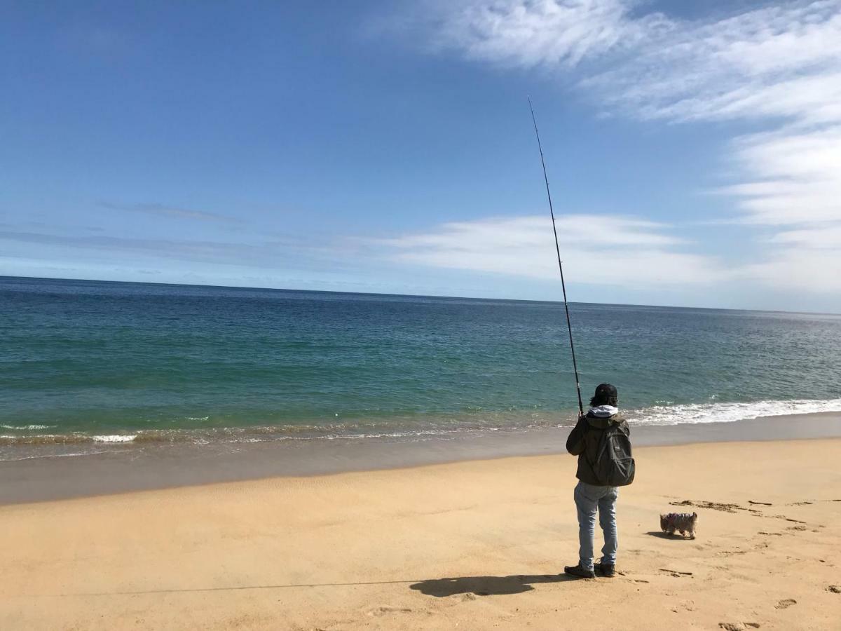 Depa Torre Juan Fernandez Leilighet Vina del Mar Eksteriør bilde
