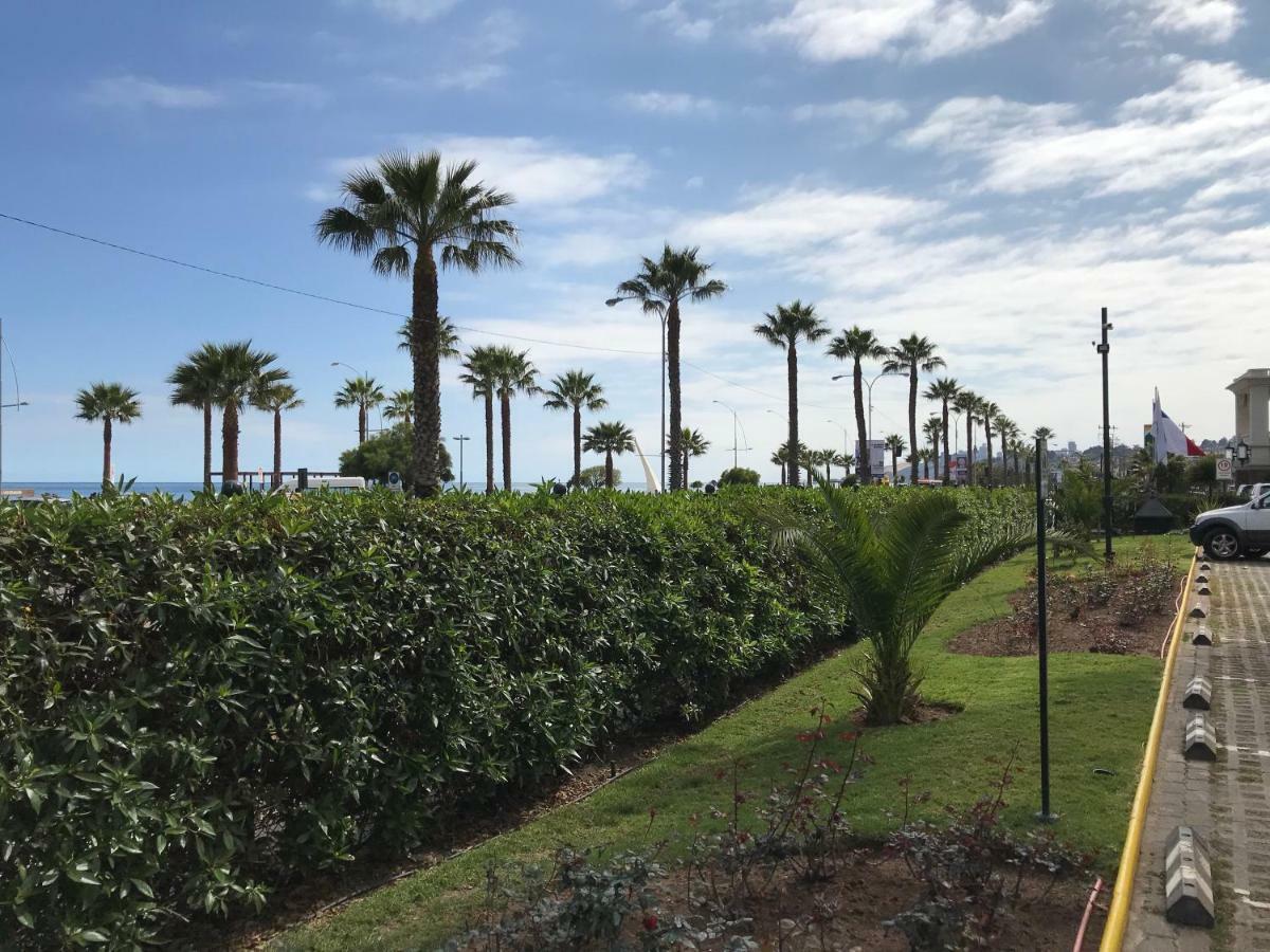 Depa Torre Juan Fernandez Leilighet Vina del Mar Eksteriør bilde